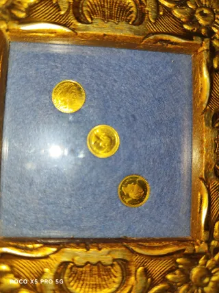 Monete d'oro in cornice