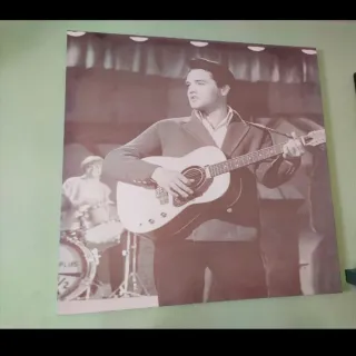 Cuadro Elvis Presley