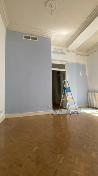 Pintor profesional barato