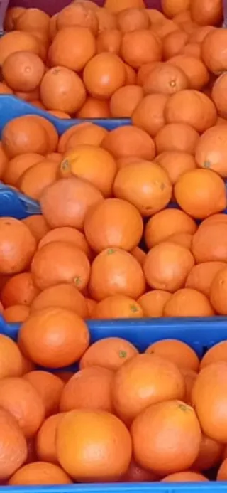 Compra venta de naranjas - Pago al contado
