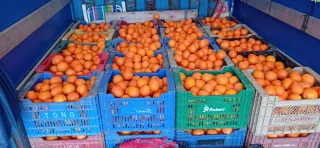 Compra venta de naranjas - Pago al contado