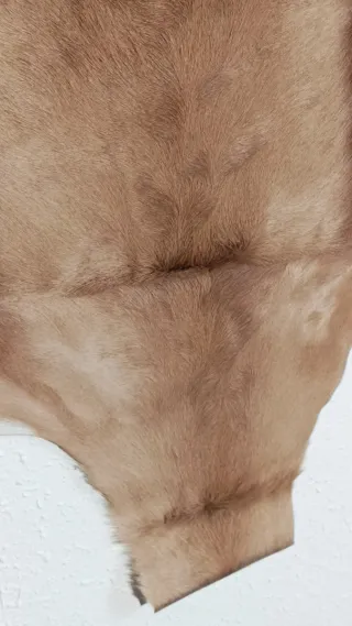 Alfombra Piel Gacela Springbok Natural