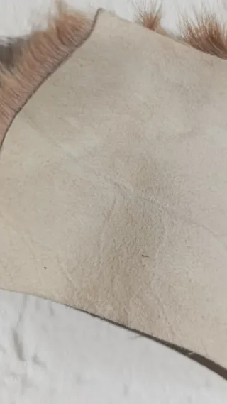 Alfombra Piel Gacela Springbok Natural