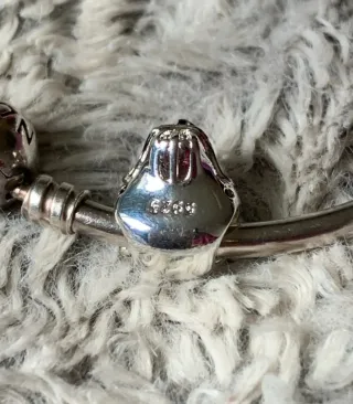 Pandora Charm Plata Tigre