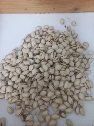 Semillas de pistacho