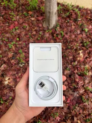 iPhone 12 128GB Negro