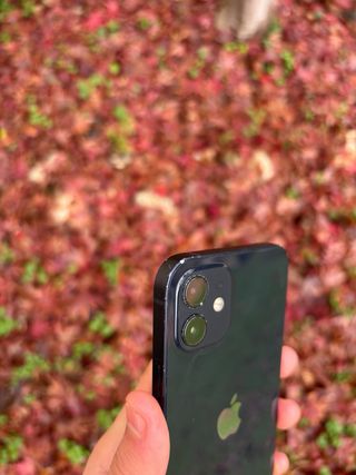 iPhone 12 128GB Negro