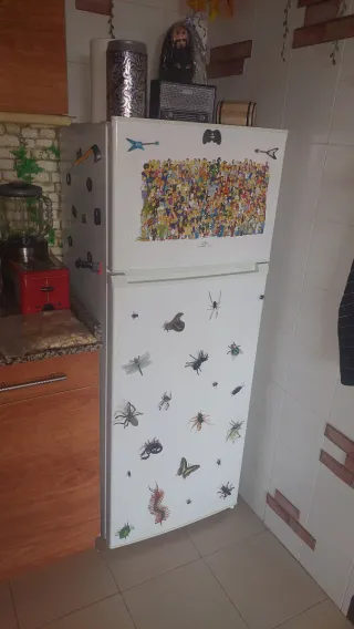 Nevera LED Teka Silenciosa