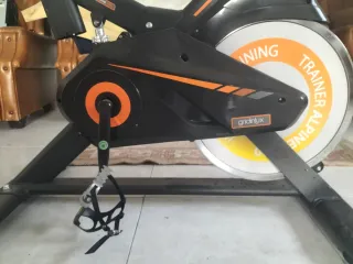 Bicicletta Spinning Statica Quasi Nuova
