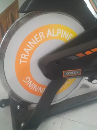 Bicicletta Spinning Statica Quasi Nuova