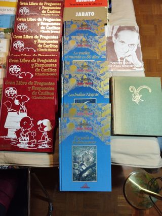 Lote de 38 libros: Escuela de Robinsones/ Las In