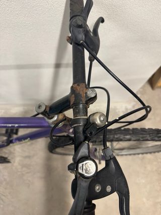 Bicicleta Morada Diamond Sport.