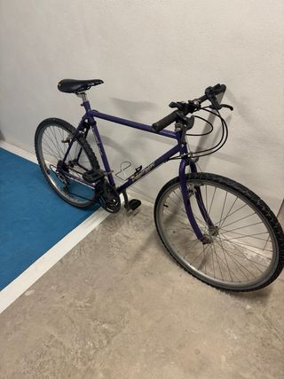 Bicicleta Morada Diamond Sport.