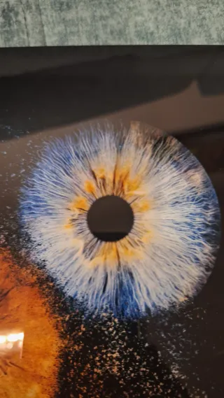 Cuadro Metacrilato Iris Gallery Duo Original