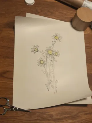 Lote 5 láminas IKEA 30*40