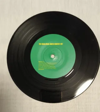 Disco The Charlatans - North Country Boy