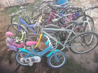 Lote de bicicletas variadas