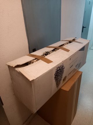 Árbol de Navidad casActual Blanco nevado 698 Ram