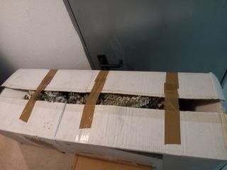 Árbol de Navidad casActual Blanco nevado 698 Ram