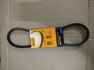 Correa Continental 4 PK 795