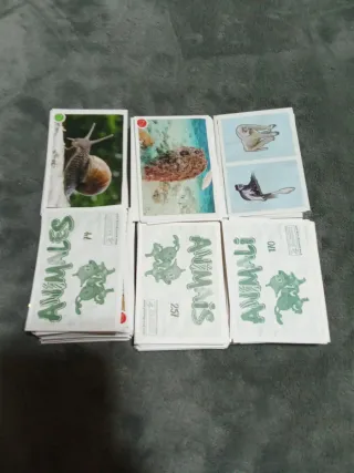 300 cromos animales ref 210
