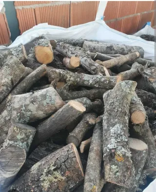 Se recoge leña gratis