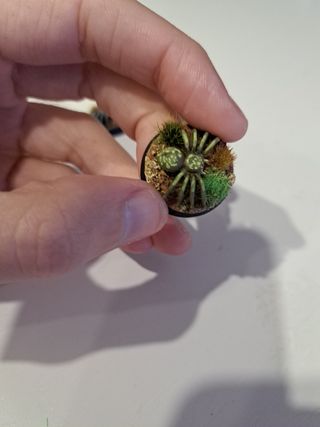 Figuras Arañas Gigantes Warhammer D&D