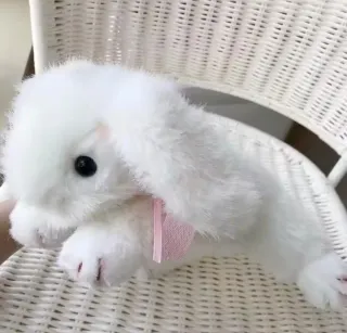 ( NUEVO ) Peluche Conejito Blanco