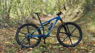 Bicicleta S-Works Replica