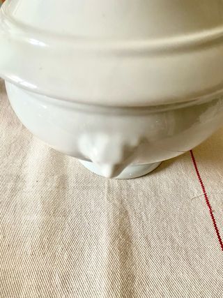 Sopera porcelana blanca cabezas de león + 6 cuenco