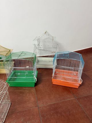 Jaulas para pájaros - Varias