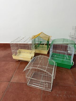 Jaulas para pájaros - Varias