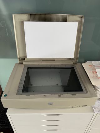 Escáner Epson GT 10000+ Plano