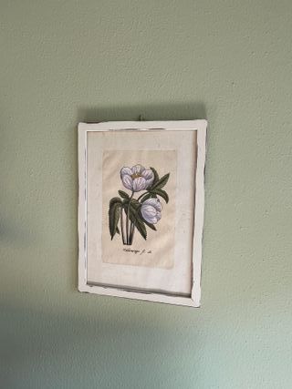 Quadro Botanico Provenzale