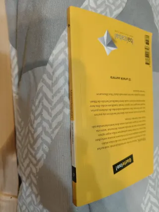 Mirari hegalari (Gaztaro) (Basque Edition)