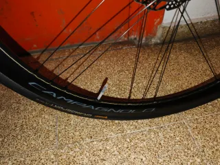 Ruedas Campagnolo Shamal Carbon