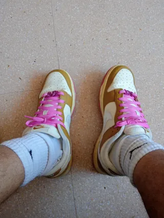 Zapatillas Nike Dunk Low Marrones y Rosas