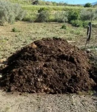 Estiércol de caballo gratis