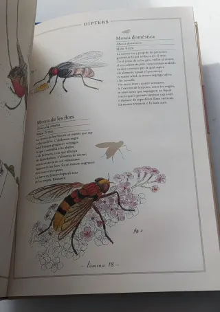 Inventari il•lustrat insectes Stich dinosaurios