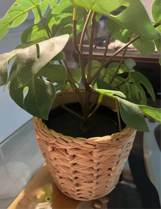 Planta Artificial Monstera Ikea
