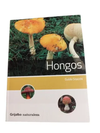 Hongos/ Mushrooms (Naturaleza/ Nature) (Spanish...
