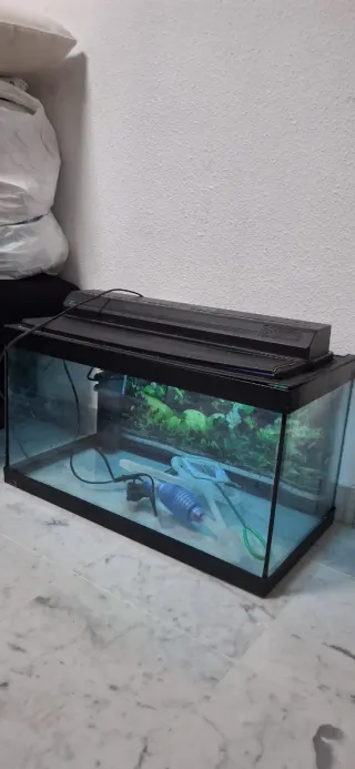 Pecera con accesorios y comida