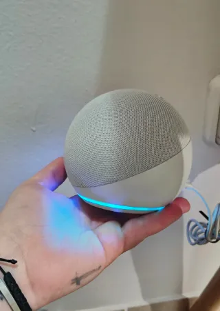 Alexa Echo Dot 5ª, perfetto stato, NON TRATTABILE