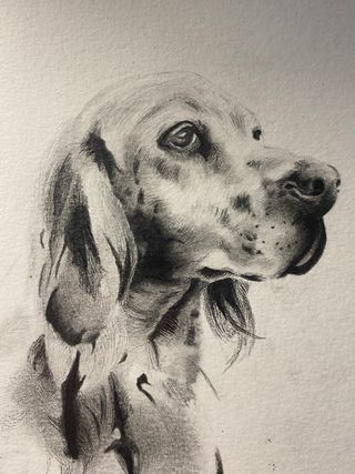 Dibujo personalizado - Arte por encargo