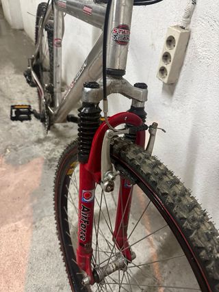 Bicicleta STATS TEAM Plata