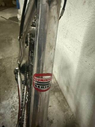 Bicicleta STATS TEAM Plata