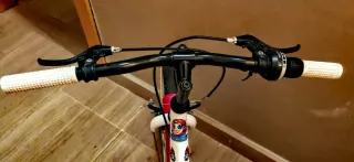Bicicleta niña rueda 20 con guardabarros
