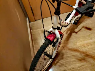 Bicicleta niña rueda 20 con guardabarros