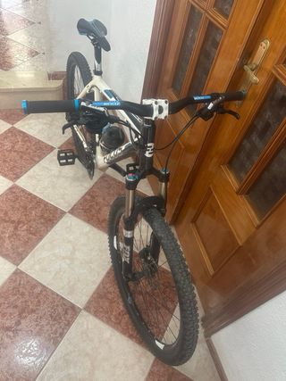 Bicicleta de Montaña Focus Carbono