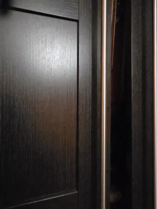 Puertas de armario oscuras